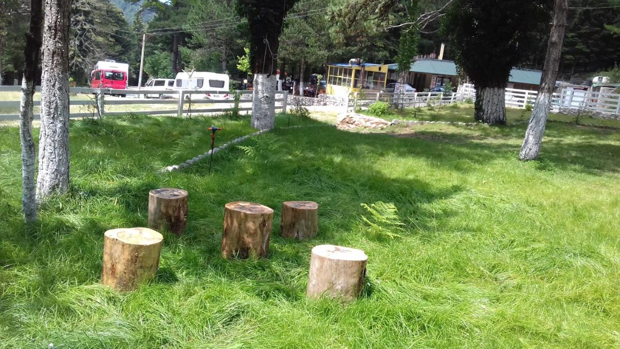 Bujtina Uji I Panjes, Log Cabins Dukat Exterior foto